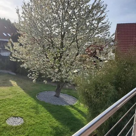 Froese Maison d'hôtes Altenbeken